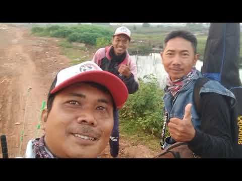 Mancing Mujaer Di Muara Tawar Bareng 2 komunitas
