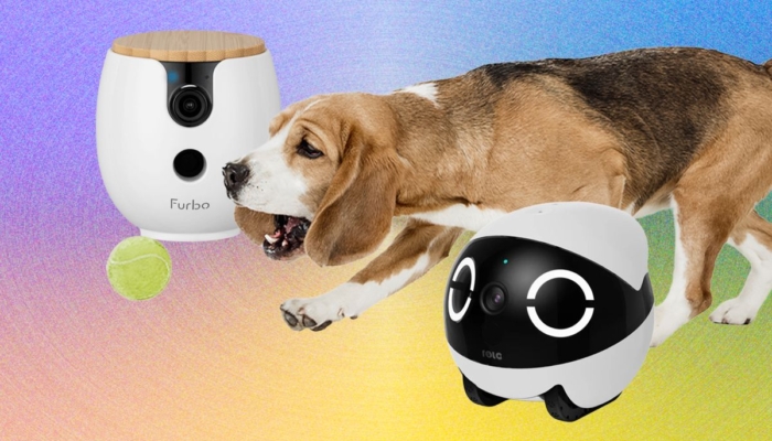 10-kamera-hewan-peliharaan-terbaik-tahun-2026:-furbo,-petcube,-dan-enabot