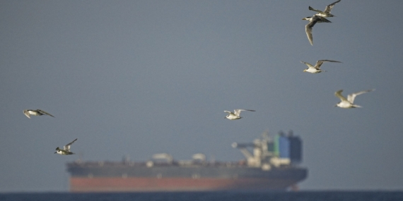 Kapal Tanker Palsu Membanjiri Selat Hormuz. Analis Ini Melacak Mereka