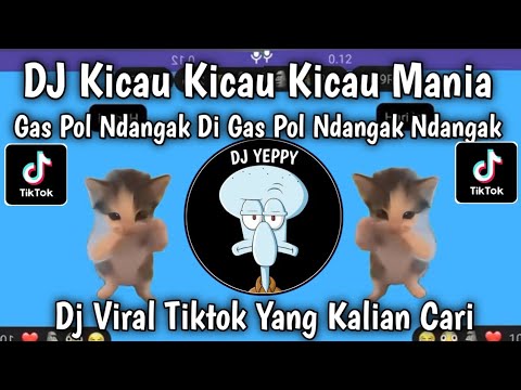 DJ KICAU MANIA X MANCING MANIA GAS POL NDANGAK DI GAS POL NDANGAK NDANGAK VIRAL TIKTOK TERBARU