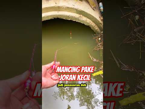 Mancing ikan pakai joran kecil. dapet gak ya?