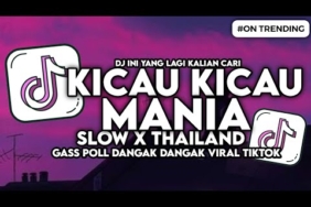 DJ KICAU MANIA GAS POL NDANGAK DANGAK NDARBOY GENK SLOW X THAILAND FYP VIRAL TIKTOK