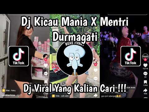 DJ KICAU MANIA X MENTRI DURMAGATI PARTY VELOCITY FULL BASS VIRAL TIKTOK TERBARU 2026 !!