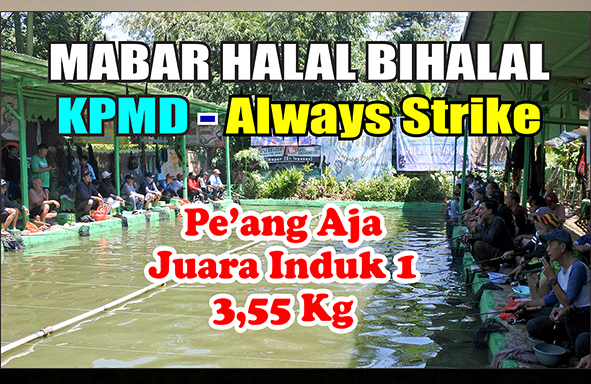 kabarmancing-channel-:-mabar-&-halal-bihalal-kpmd-–-always-strike