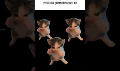 kicau kicau mania 😋 #kucinglucu #memengakakkocak #kucingindo