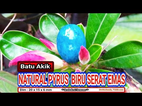 Batu Akik Pirus Biru Persia, Serat Emas|#Piruspersiaseratemas|#Batupirusseratemas|#perkobakin