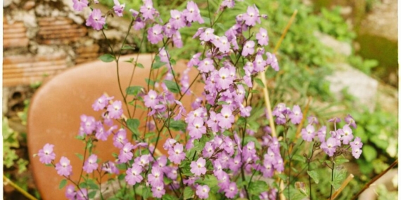 7 Alasan Kenapa Seseorang Bisa Tiba-tiba Menjauh Tanpa Alasan Jelas