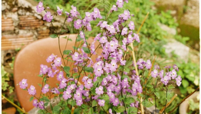 7-alasan-kenapa-seseorang-bisa-tiba-tiba-menjauh-tanpa-alasan-jelas