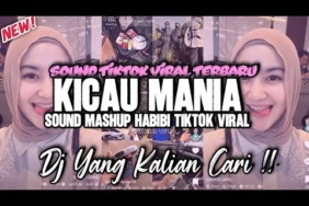 DJ KICAU MANIA X HABIBI MASHUP REMIX VIRAL TIKTOK TERBARU 2026