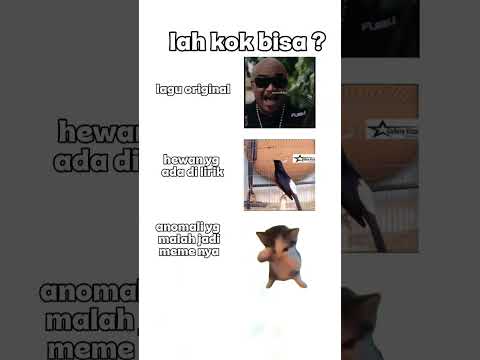 Kucing Jiwa Kicau Mania! 🐱🐦Burungnya yang digantang, kucingnya yang asik joget.#memes