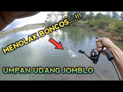 Tarikan Mantap Ikan Jenahak | Mancing Bareng Angler PPU