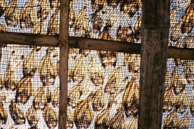 fishing-and-salt-making:-edward-apostol-captures-pamarawan’s-heritage-on-lomochrome-color-’92