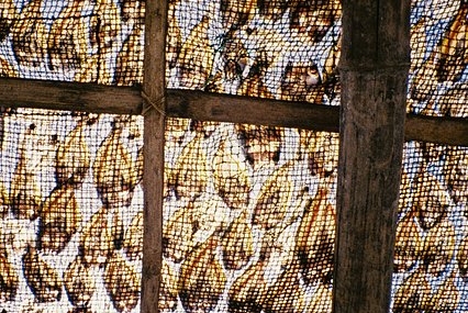Fishing and Salt-Making: Edward Apostol Captures Pamarawan’s Heritage on LomoChrome Color ’92