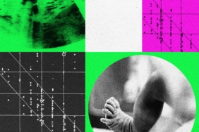 perusahaan-bayi-desainer-sedang-bergejolak