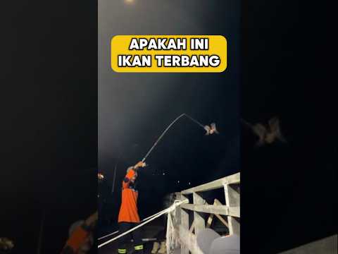 Mancing diatas jembatan dapat sesuatu yang tak terduga #mancing #fishing