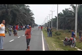 Balap liar sei mangkei Mx tekno tuner vs ninja gepeng