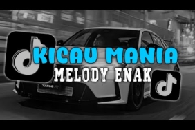 DJ KICAU MANIA X MELODY ENAK STYLE CANDU VIRAL TIKTOK