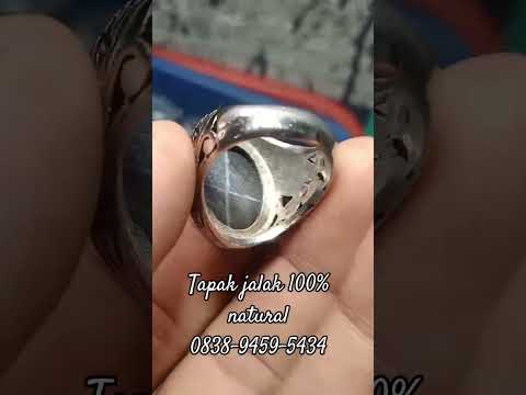 Tapak jalak asli 100% natural no treatment #tapakjalak #shorts #batuakik