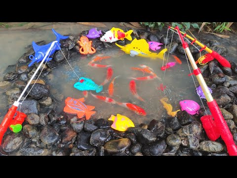 Mainan Anak Memancing Ikan Di Sungai, Ikan Hias, Ikan Koi, Ikan Nemo, Ikan badut, Ikan Marlin, paus