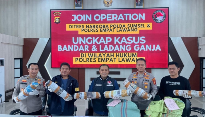 ladang-ganja-20-ha-di-empat-lawang-digerebek,-bandar-ditangkap