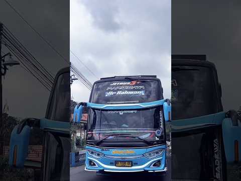( JJ KICAU MANIA) AR-RAHMAN x DEWA x ANDARA #bismillahfyp #jjbus #fypシ゚viral