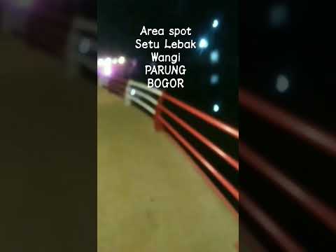 SETU LEBAK WANGI PARUNG BOGOR Termasuk area spot menarik untuk komunitas mancing jaring