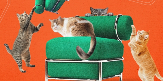 Kursi Tiup Baru Ikea Telah Diuji oleh Kucing