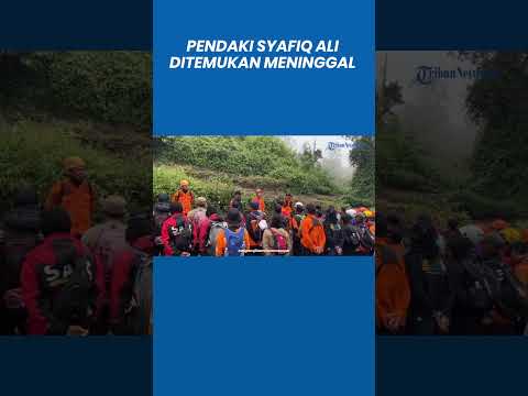 Pendaki Gunung Slamet Syafiq Ali Ditemukan Meninggal di Antara Jalur Gunung Malang dan Baturraden