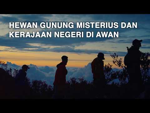 GUNUNG ARGOPURO – Hewan-hewan Misterius dan Kerajaan Negeri di Awan / part #2 Jawa Timur