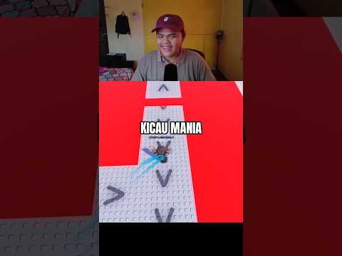 kicau kicaw kicau mania #rsaptoh #rsaptohroblox