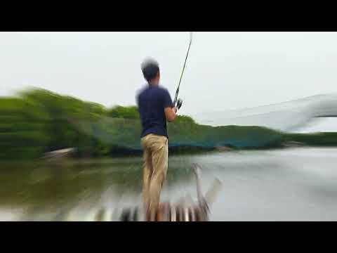 Mancing Di Muara Blacan Muara Gembong Bekasi