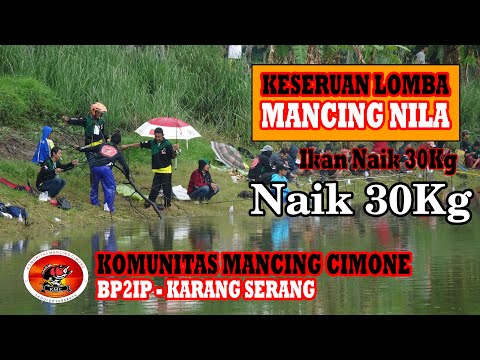 Keseruan lomba mancing Nila Teknik CB