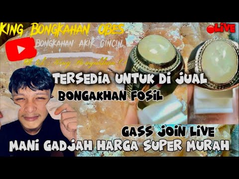 🔴LIVE “Bongkahan Akik Asli, Garansi Uang Kembali