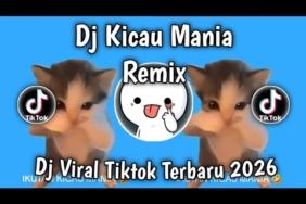 DJ KICAU MANIA REMIX FULL BASS BY DJ JEPANG SOUND VIRAL TIKTOK BANYAK DI CARI TREND KUCING JOGET2026