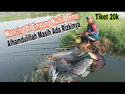 MANCING NILA BABON DI EMPANG KUBIL LEMO#cacangfishing #vlog