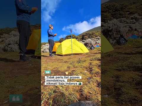 Nikmat Pemandangan Alun Alun Suryakencana #pendaki #mendaki #gununggede #gununggedeviaputri