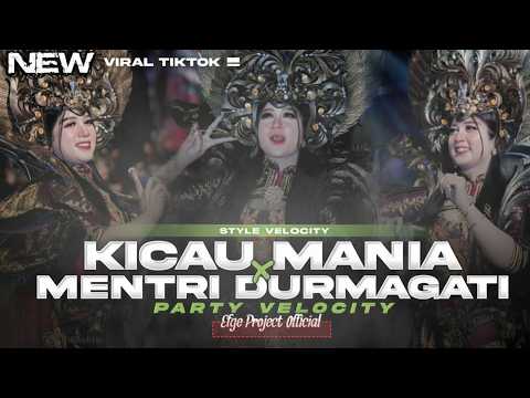 DJ KICAU MANIA X MENTRI DURMAGATI   PARTY VELOCITY FULL BASS TERBARU 2026 ND