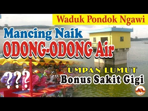 Mancing naik perahu odong-odong, Waduk Pondok umpan Lumut bonus sakit gigi