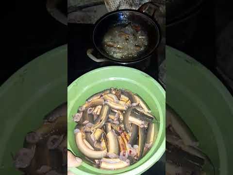 Hasi Mancing Nya Langsung di masak