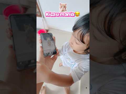 KUCING KICAU MANIA!! #viralvideo