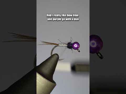 Blurple Quill | Fly Tying Tutorial