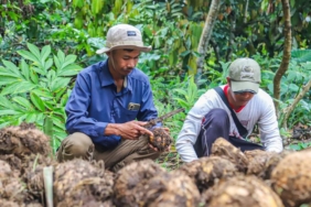 astra-dorong-komoditas-unggulan,-tingkatkan-pendapatan-masyarakat-lombok-dan-bandung