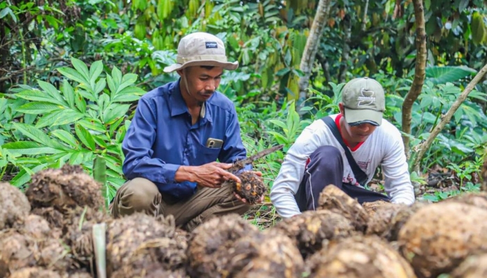 astra-dorong-komoditas-unggulan,-tingkatkan-pendapatan-masyarakat-lombok-dan-bandung