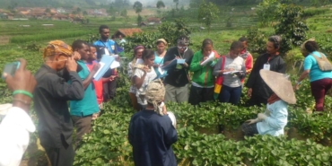 desa-wisata-lebakmuncang-ciwidey,-edukasi-tani-dan-budaya-sunda-di-kaki-gunung-patuha