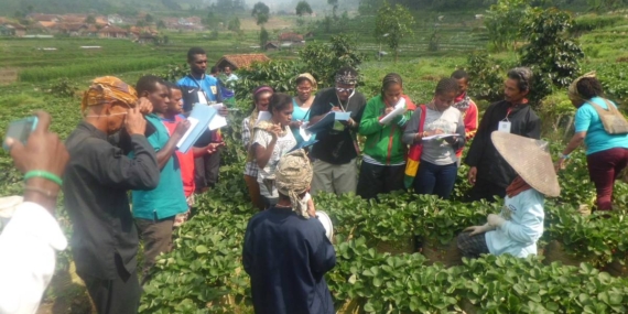 Desa Wisata Lebakmuncang Ciwidey, Edukasi Tani dan Budaya Sunda di Kaki Gunung Patuha