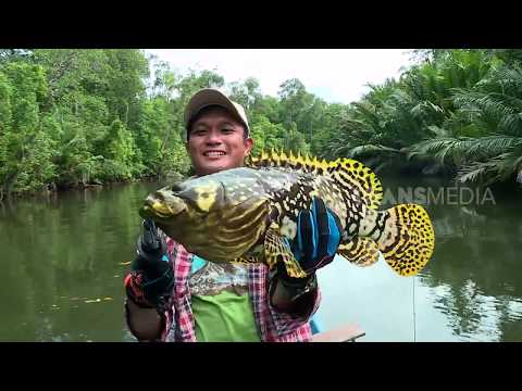 MANCING MANIA | BUMBLEBEE VAN PAPUA (30/08/19) Part 1