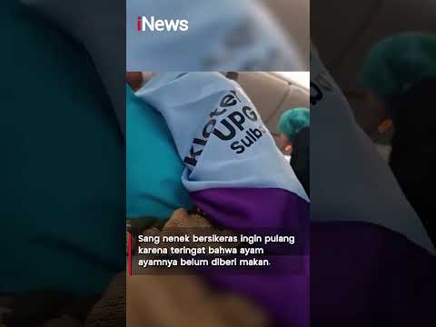 Viral Jemaah Calon Haji Minta Turun Pesawat Demi Kasih Makan Ayam, Ini Faktanya!  #shorts