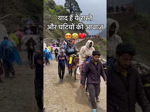 Kedarnath | Kedarnath Temple | Kedarnath Mandir | Kedarnath trekking | shorts | ytshorts