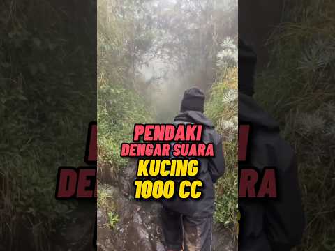 Auto Merinding | Pendaki Dengar Suara Misterius Dari Balik Hutan! #shorts