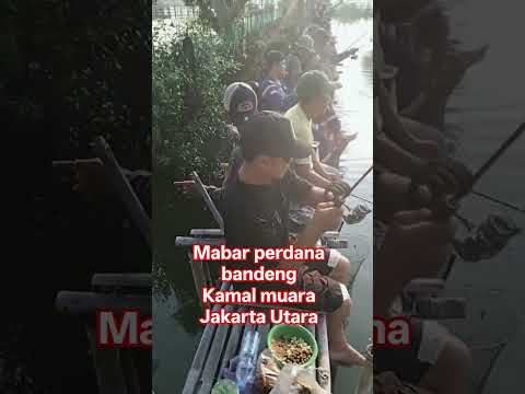 Empang kong SADELIH bersama komunitas mancing bandeng #fishing